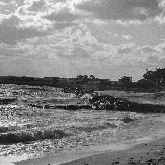 Meet your Posher, Brooke - Picture 1 of 1